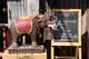 Thailand: Wooden elephant and menu outside a restaurant on Chai Kong Road, Chiang Khan, Loei Province