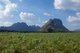 Thailand: Kuan Pha Lom National Park,  Loei Province